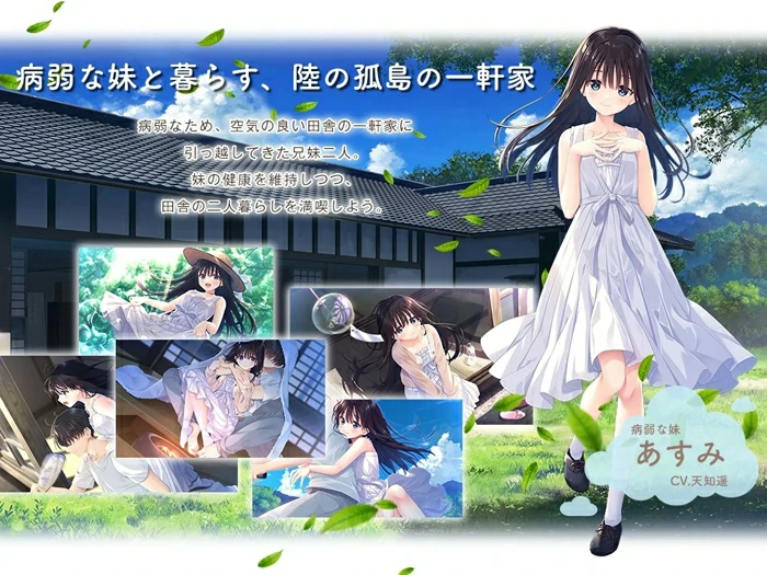 电脑版【爆款RPG全CV】痴情哥哥与病弱妹妹的乡间生活v1.02 DLC1+2+3+4 全CG存档 骑-大壮社区
