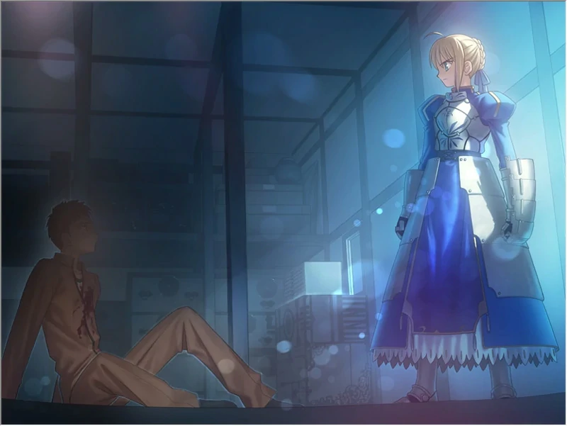 图片[12]-安卓+电脑【精品SLG同人】Fate Stay Night命运长夜 ty模拟器玩-大壮社区