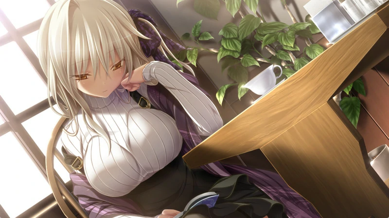 图片[31]-安卓+电脑【神作ADV CV】天津罪 全CG存档 步-大壮社区