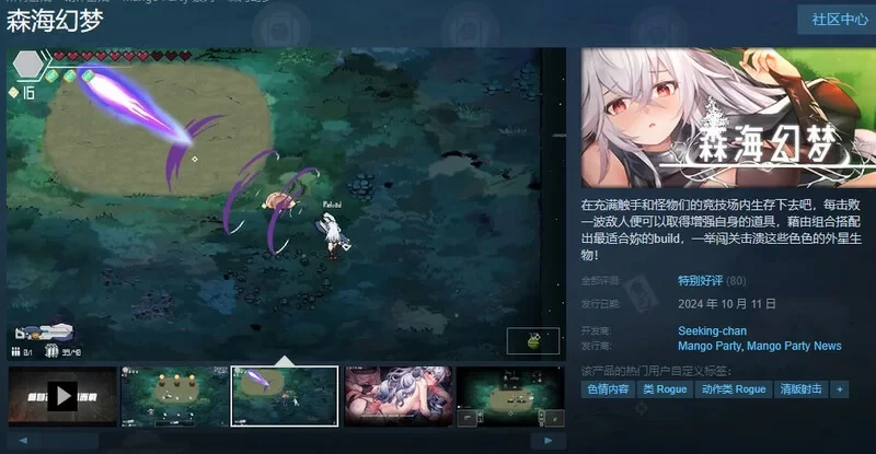 图片[7]-电脑版【像素ACT动态】森海幻梦 Endless forest dream v1.1.2 全CG存档【0.9G】步-大壮社区
