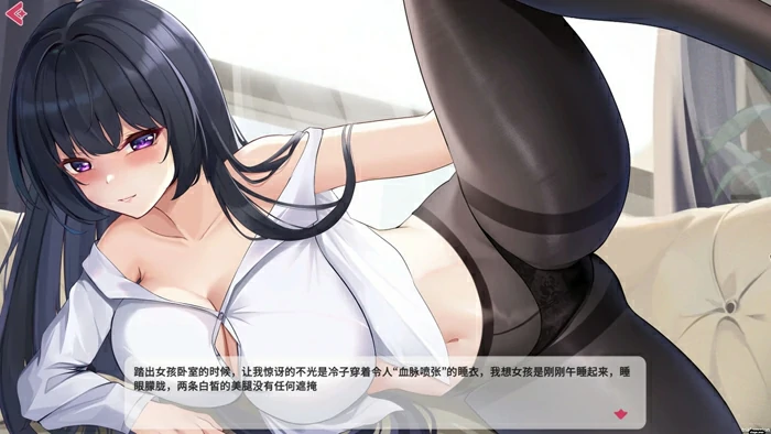 图片[2]-电脑版【互动SLG动态/三消】性感可爱的银妻们 XXII 官中作弊+步兵-大壮社区