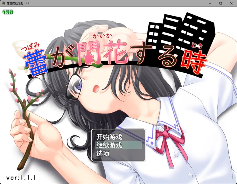 图片[1]-安卓+电脑【日系RPG/汉化/露出】花蕾绽放之时1.1.1 作弊 骑-大壮社区