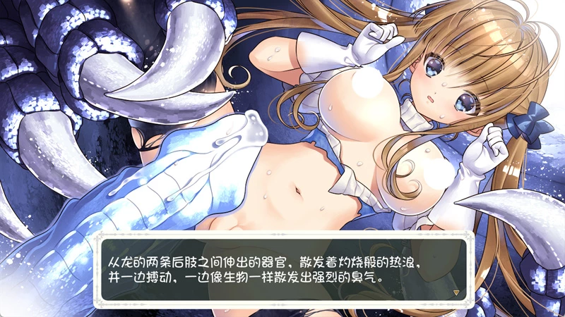 图片[8]-电脑版【神作大型动作ARPG动态战斗H】少女骑士救主记 STEAM官中版+全DLC 步【6G】-大壮社区