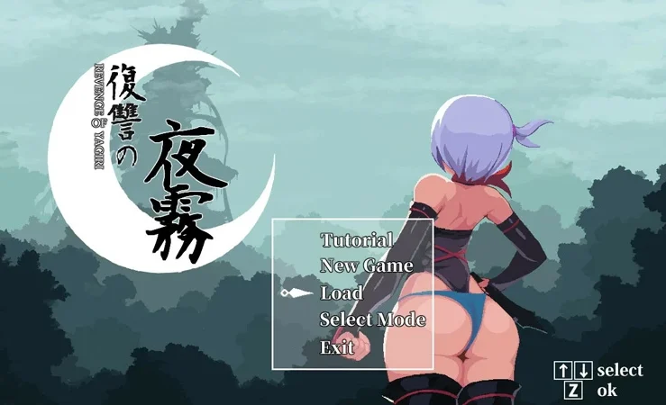 电脑版【日系ACT/动态/动作】复仇夜雾 官中 步【0.45G】-大壮社区