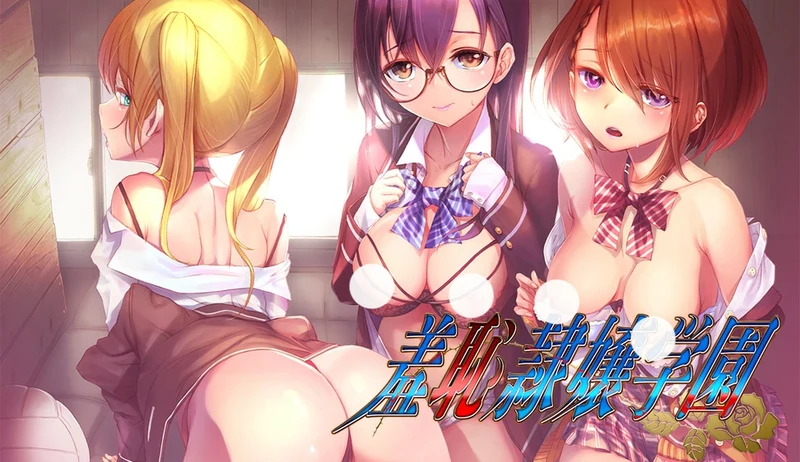 电脑版【精品拔作ADV/CV】羞耻隶娘学园 骑【335M】-大壮社区